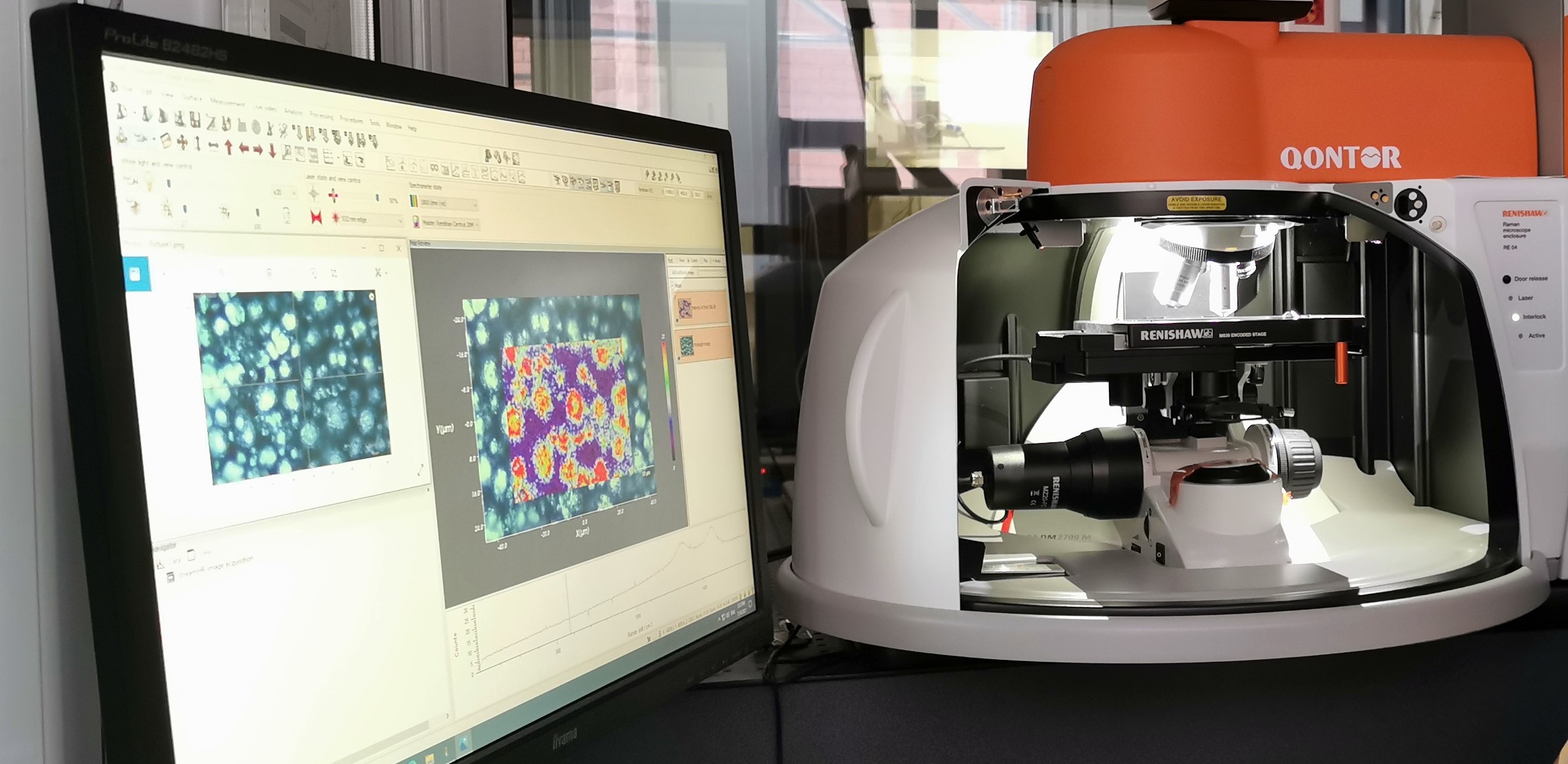 In Situ Electrochemical Raman Spectroscopy